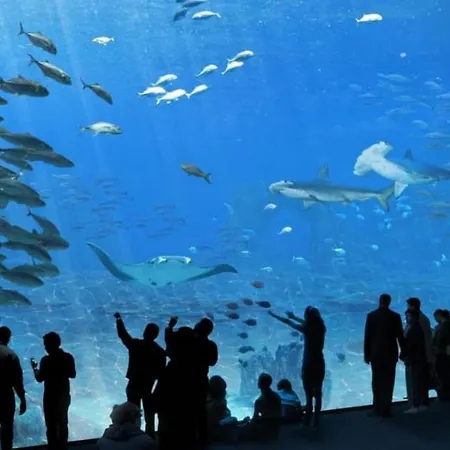 Bellevue -appartement De Charme - Vue Imprenable Sur La - Face A Nausicaa Apartment *