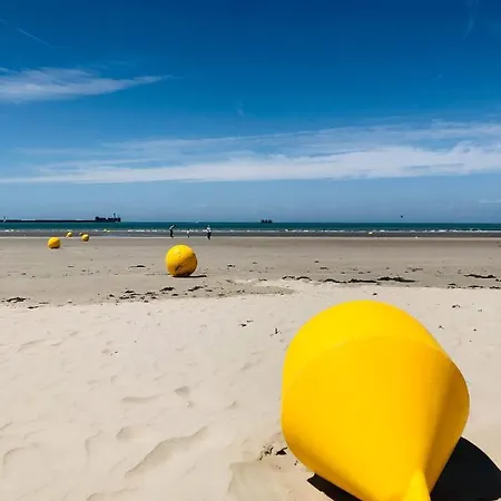 Bellevue -appartement De Charme - Vue Imprenable Sur La - Face A Nausicaa Apartamento Boulogne-sur-Mer