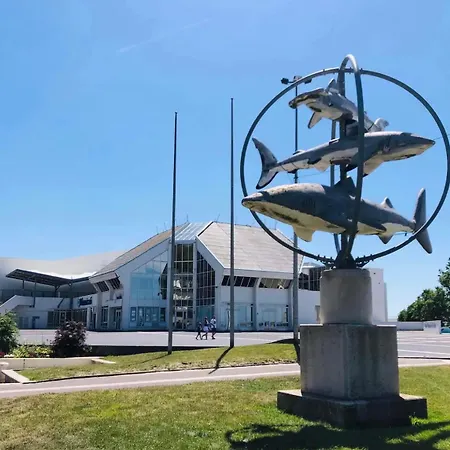 Bellevue -appartement De Charme - Vue Imprenable Sur La - Face A Nausicaa Apartment